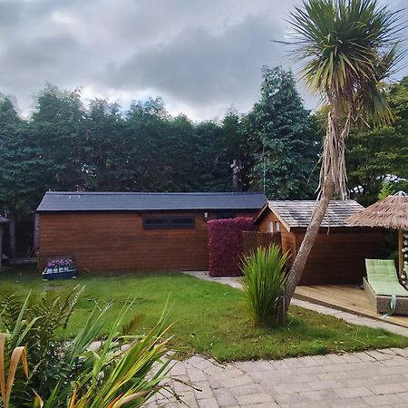Richmond Lane Guest House - Aa Accredited Romsey Eksteriør bilde